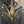 Load image into Gallery viewer, Brass 6-Light Chandelier GA21275
