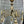 Load image into Gallery viewer, Antique Art Nouveau Brass 6-Light Chandelier - 23" T x 21" W - GA21032
