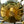 Load image into Gallery viewer, Antique Brass 4-Light Pan Chandelier - 18" W x 8" T - GA21029
