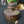 Load image into Gallery viewer, Vintage Ornate Floral Oil Lamp w/ Brass Canopy &amp; Chimney GS00620
