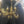 Load image into Gallery viewer, Pair of Ornate Brass 4-Light Chandeliers GS011017
