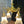Load image into Gallery viewer, Restored Antique Brass Pan 4-Arm Chandelier GA21010
