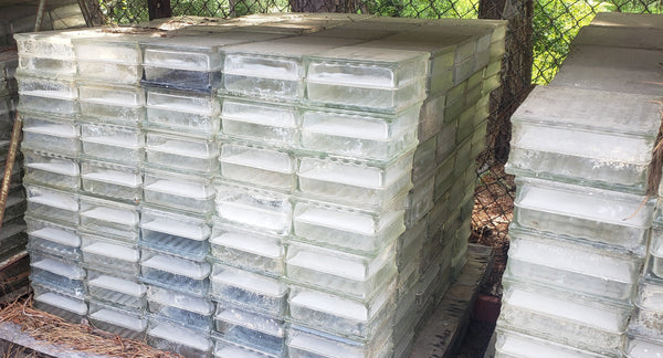 Vintage Reclaimed Square Solid Glass Blocks 7 3/4" 3 7/8" 500 + Avail GS01015