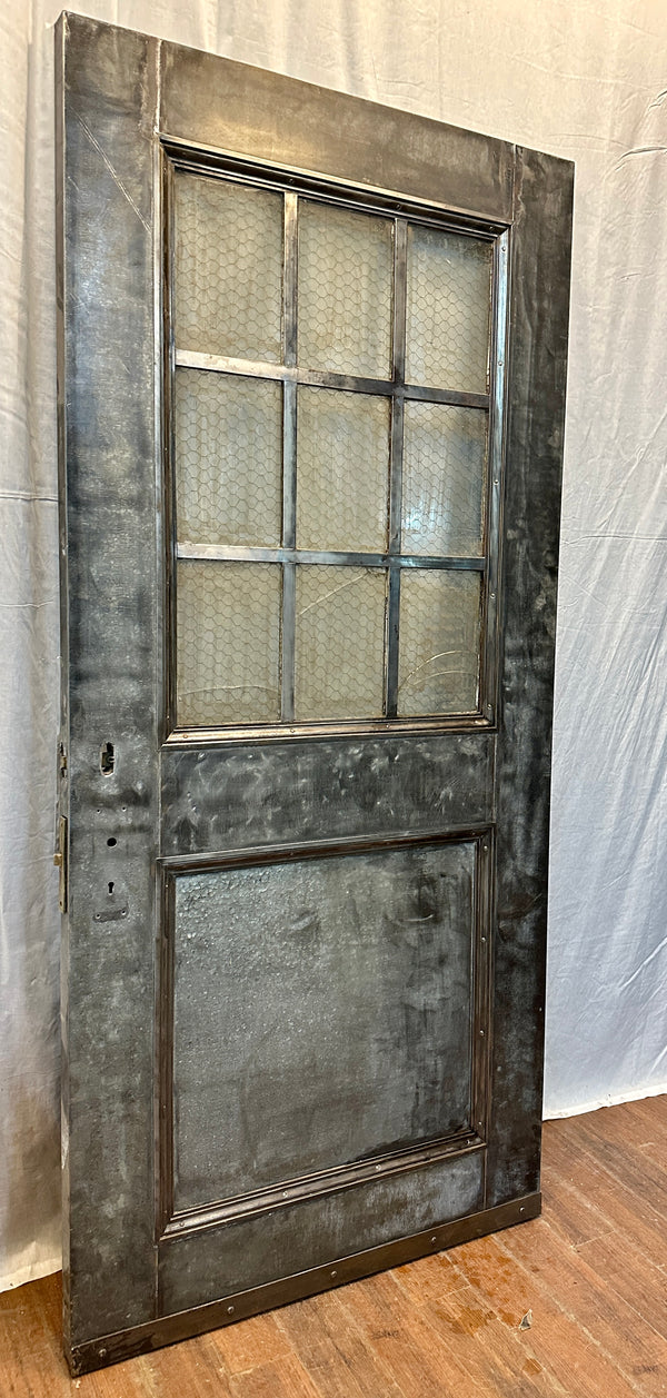 W.F. Overly & Sons 9-Pane 1-Panel Galvanized Steel Door GA20559