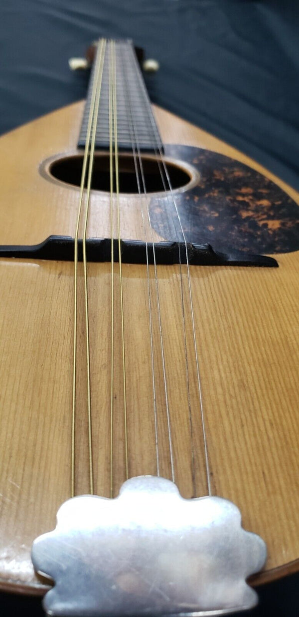 1916 C.F. Martin Bowl Back Mandolin in Mint Condition GS00713