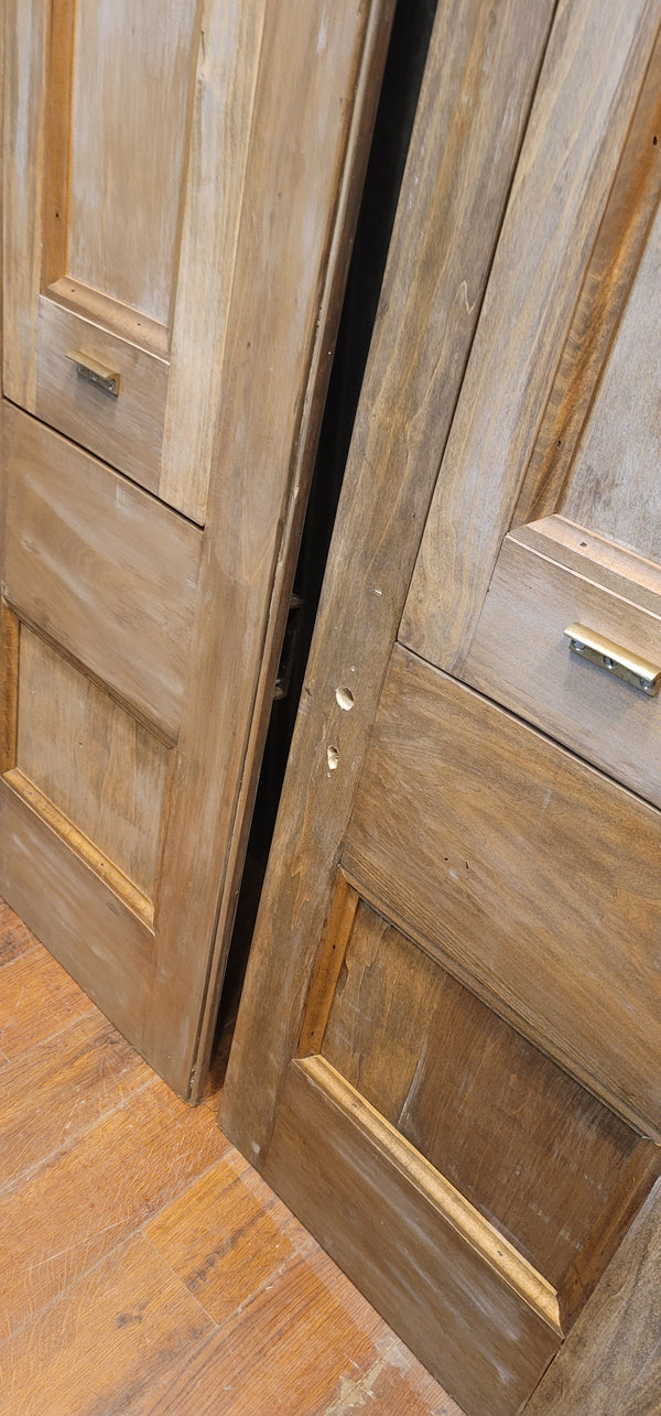 Custom Built 1800s Style Glass & Wood Retail Doors w/ Removeable Panels GS00846