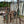 Load image into Gallery viewer, 8 Ft Wrought Iron Arbor GA20242
