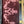 Load image into Gallery viewer, Antique Victorian Thermoplastic Ambrotype Photo Case w/ Velvet Interior GA20541
