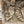 Load image into Gallery viewer, Concrete Frieze GA21407
