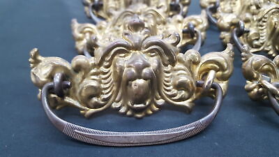 Set of 6 Brass Ornate Lion's Mane Drawer Pulls 4 1/2" x 2 1/4" GS00792