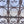 Load image into Gallery viewer, Tall Wrought Iron Gate w/ Center Oval GS010977
