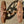 Load image into Gallery viewer, Pair of Industrial Salvage Hit &amp; Miss Machine Wheels GA20916
