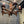 Load image into Gallery viewer, 1800s Early Wooden Chandelier with Original Paint GA21168
