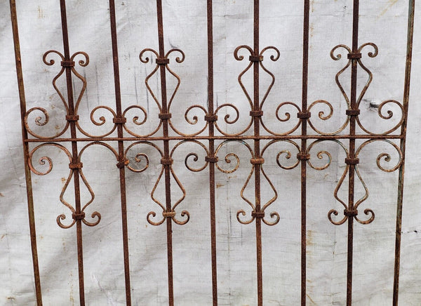 Ornate Wrought Iron Gate 39 1/4" Wide by 69 1/2" Tall GA9471