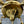 Load image into Gallery viewer, Restored Antique Brass Pan 4-Arm Chandelier GA21009
