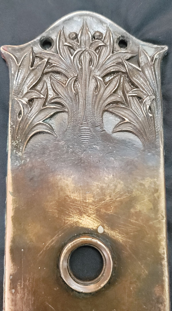 Art Nouveau Brass Door Backplate w/ Deadbolt Hole 12 3/4" x 3 1/2" GS00862