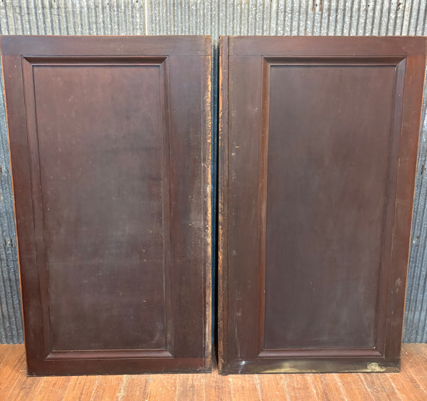 Pair of Cabinet Panels GA21542