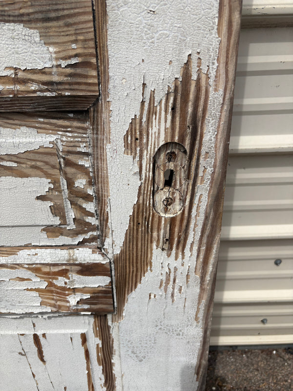 Wooden 10-Panel Door GA21532