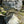 Load image into Gallery viewer, Tall Ornate Concrete Planter GA20351
