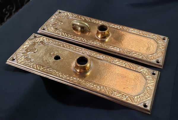 1913 Woolworth Building N.Y. Solid Bronze Door Backplates w/ Thumb Turn GS010938