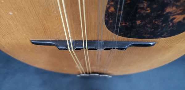 1916 C.F. Martin Bowl Back Mandolin in Mint Condition GS00713