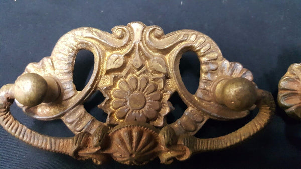 Architectural Salvage Brass Daisy & Tulip Design Drawer Pull Handles Set of 3