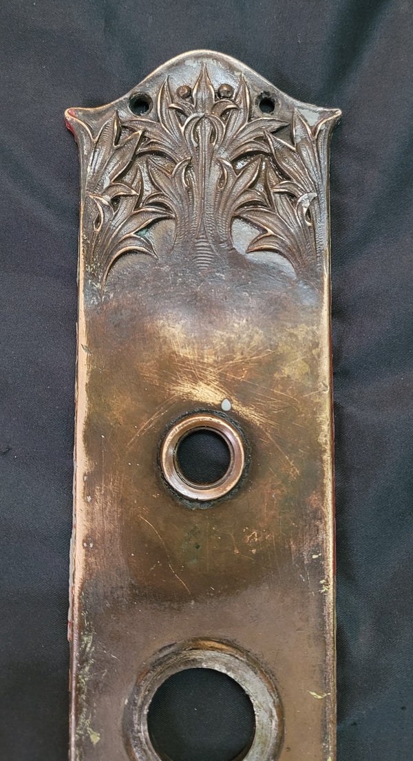 Art Nouveau Brass Door Backplate w/ Deadbolt Hole 12 3/4" x 3 1/2" GS00862