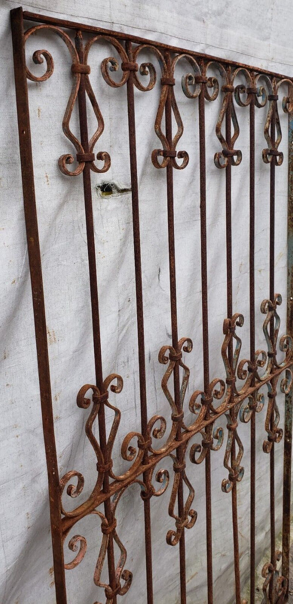 Ornate Wrought Iron Gate 39 1/4" Wide by 69 1/2" Tall GA9471