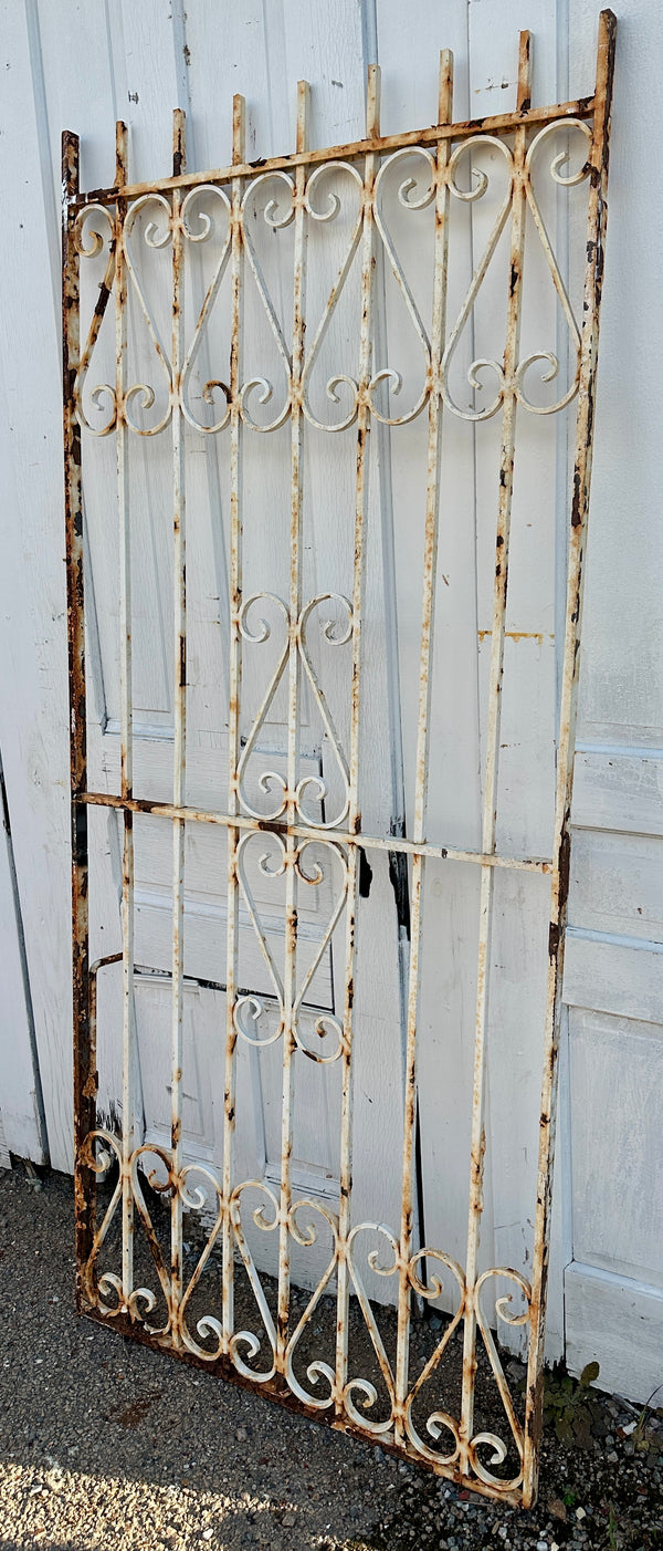 Antique Iron Gate Panel w/ Scrollwork GA20505