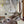 Load image into Gallery viewer, Full Body Mount Whitetail Buck Taxidermy GA20365
