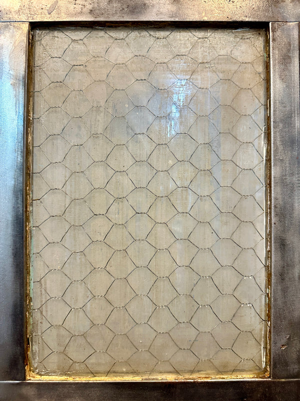 W.F. Overly & Sons 9-Pane 1-Panel Galvanized Steel Door GA20559