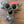 Load image into Gallery viewer, Antique Brass and Wood Piano Stool Feet Set GS010976
