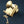 Load image into Gallery viewer, Brass Ship Rim Lock with Oval Knob and Key "Bond Store" Fob
