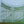 Load image into Gallery viewer, Cascading Arch Top Wrought Iron Gates 88 1/2&quot; Wide by 88&quot; Tall GA9613
