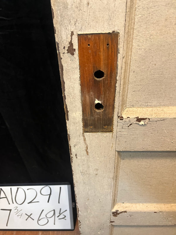 5-Panel Door GA10291