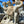 Load image into Gallery viewer, Concrete Cherub Garden Statue GA20212
