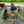 Load image into Gallery viewer, Antique Oliver Tractor - For Parts GA20130
