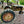 Load image into Gallery viewer, Antique Oliver Tractor - For Parts GA20130
