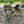 Load image into Gallery viewer, Antique Oliver Tractor - For Parts GA20130
