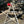 Load image into Gallery viewer, White Painted Repurposed Star Shaped Authentic NC Tobacco Drying Sticks GS00023
