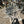 Load image into Gallery viewer, White Painted Repurposed Star Shaped Authentic NC Tobacco Drying Sticks GS00023
