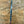 Load image into Gallery viewer, Engraved &#39;D. Sebra&#39; D2 Steel and Buffalo Horn Hunting Knife Made in VA GA20162
