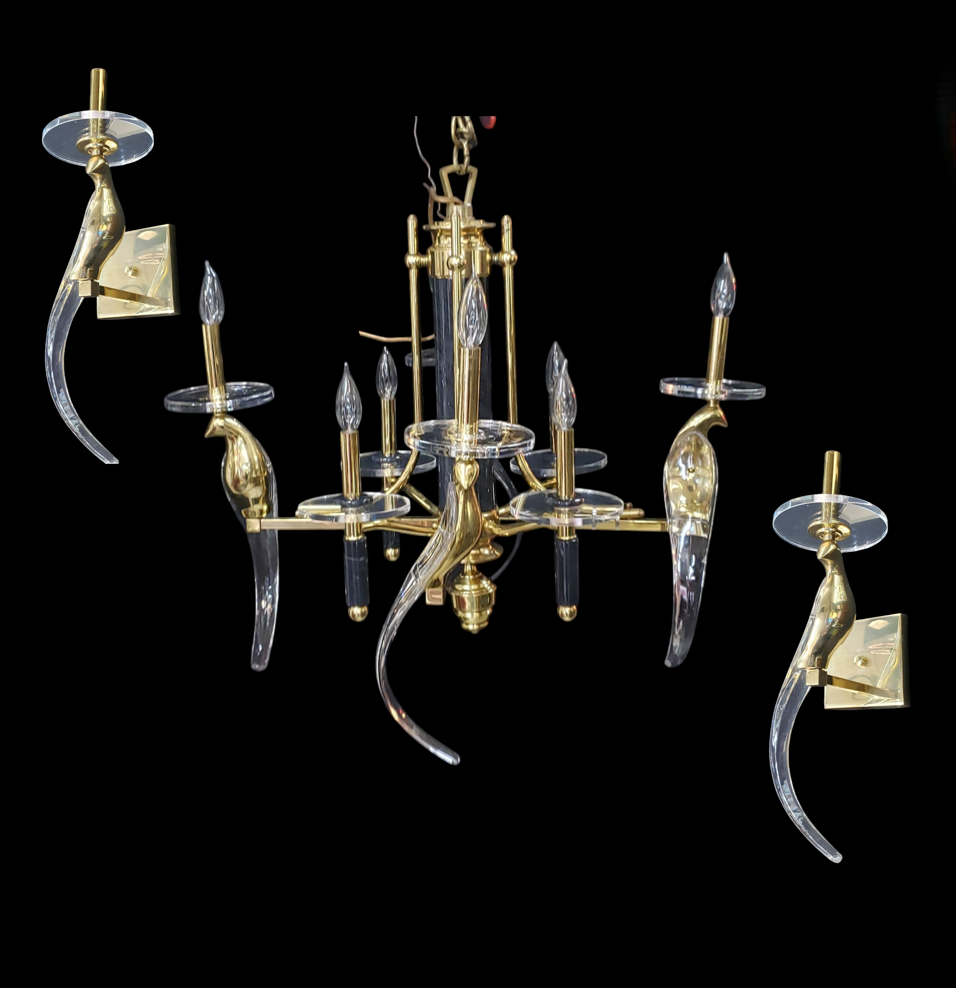 Birds of Paradise by Sergio Orozco Nulco Chandelier