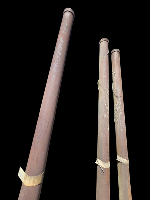 19-Foot Posts - 3 Available GAM0464