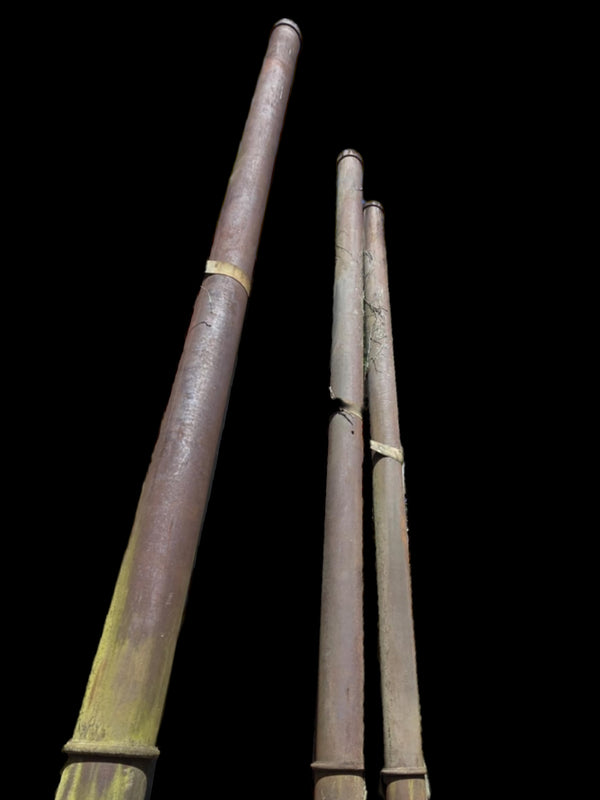 19-Foot Posts - 3 Available GAM0464