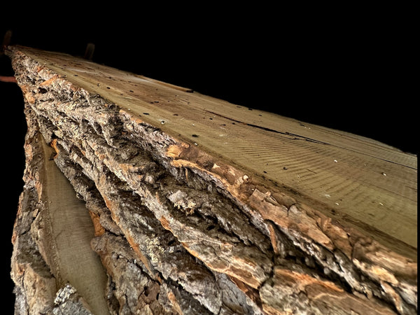Pressure Treated Poplar Live Edge Wood Slab GA20106