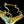 Load image into Gallery viewer, Brass Fireplace Fender GA20116
