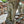 Load image into Gallery viewer, Outdoor Concrete Scrolled Pedestal Base GA20198

