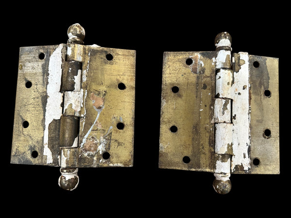 Brass Ball Tip Butt Hinge Pair GA20218