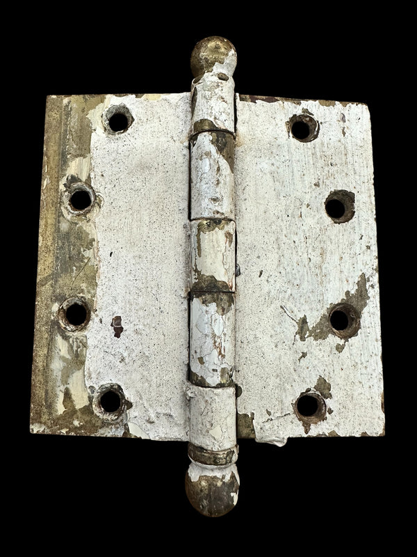 Brass Ball Tip Butt Hinge Pair GA20218